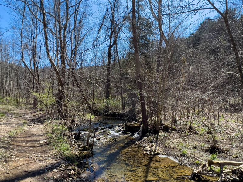 30 Acres with Two Near Creeks : Fort Blackmore : Scott County : Virginia