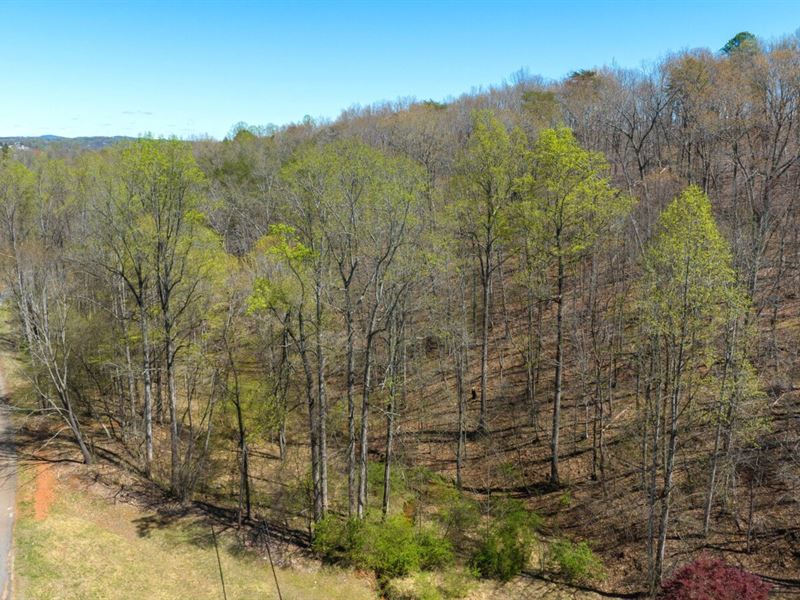 2.25 Acres, Creek in VA : Martinsville : Henry County : Virginia