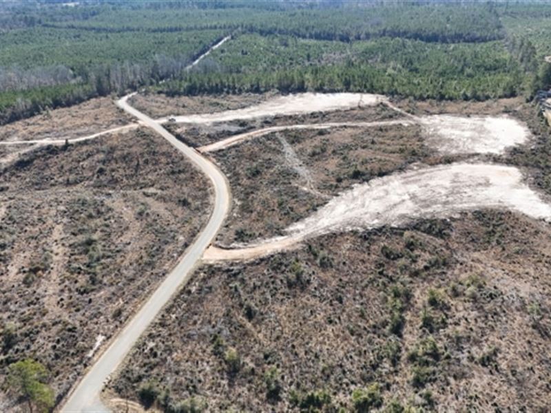 15.49 Ac Rural Home Site Tract : Eros : Ouachita Parish : Louisiana