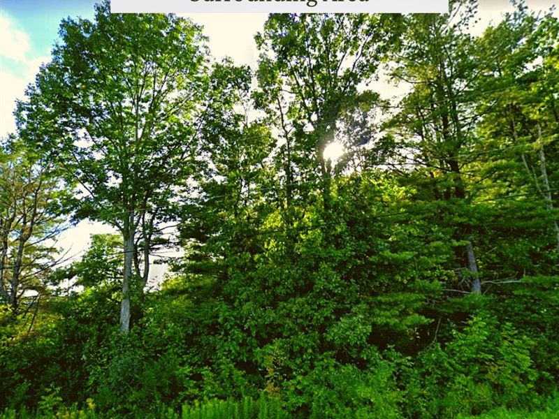 6.28 Acres Only $1 Down, $399/Mo : Angelica : Allegany County : New York