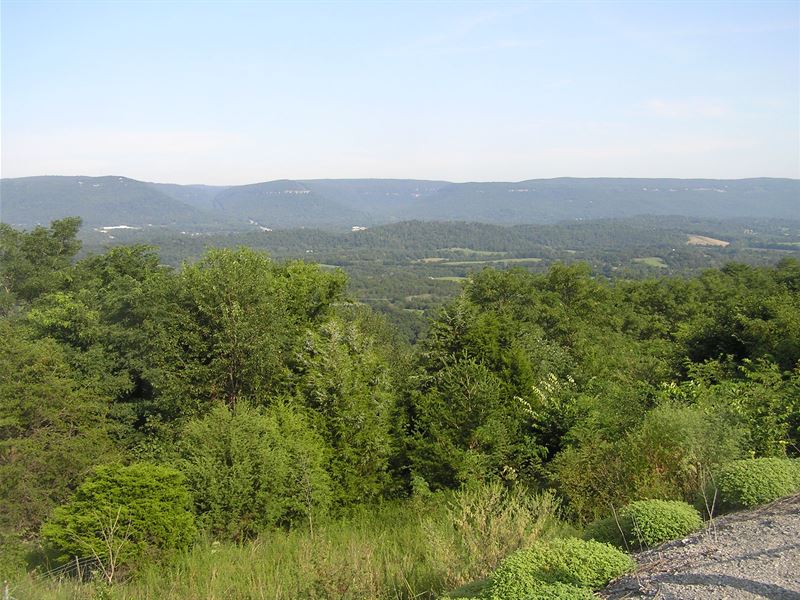 Mountain Land, Views, Rd Frontage : Dunlap : Sequatchie County : Tennessee