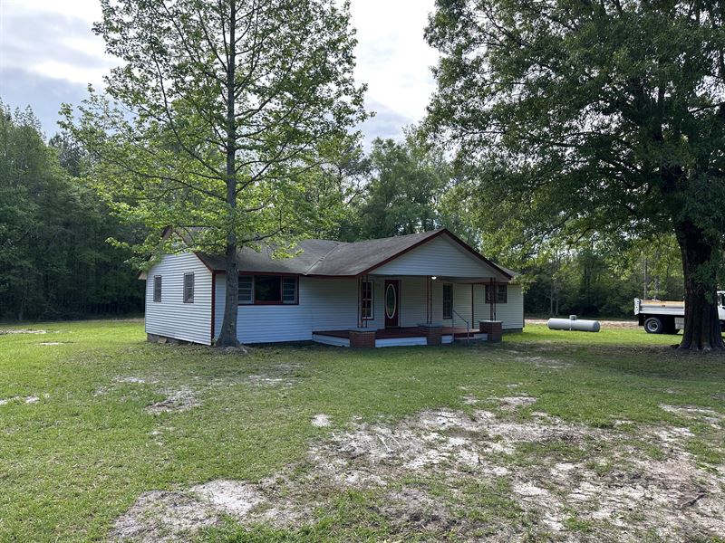 Highway 55 House and Land : Georgiana : Butler County : Alabama