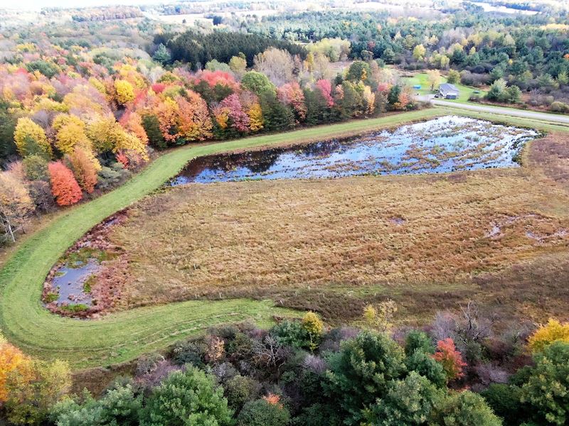 Conversation Land with Waterfowl : Reading : Schuyler County : New York