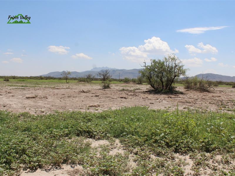 Your Oasis in The NM Desert 100/Mo, Land for Sale by Owner in New