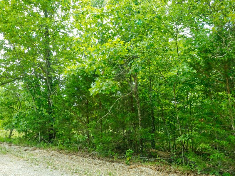 2 Adjacent Lots Near 3 Lakes : Horseshoe Bend : Izard County : Arkansas
