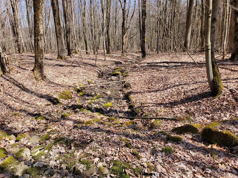 Beebe Hill Getaway : Cuba : Allegany County : New York