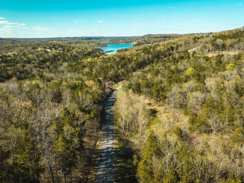 Bear Den Hollow : Galena : Stone County : Missouri