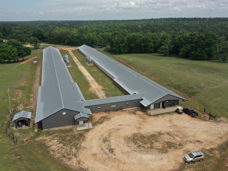 Reduced, White Oak Breeder Farm : Florala : Covington County : Alabama