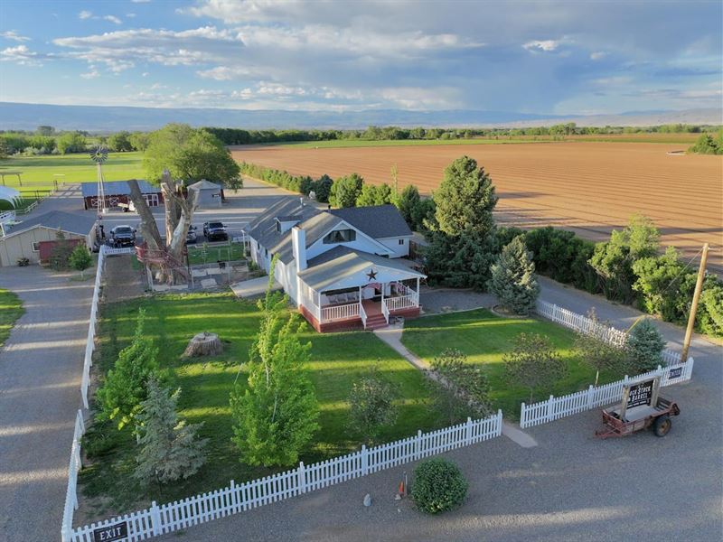 Colorado Wedding & Event Center : Olathe : Montrose County : Colorado