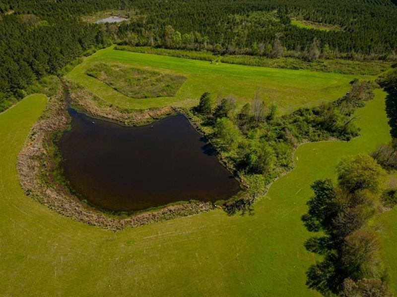155 Acres for Sale Hunting Land : Union Church : Jefferson County : Mississippi