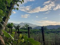 3 Houses, Restaurant Magnific Orosi : Orosi : Costa Rica