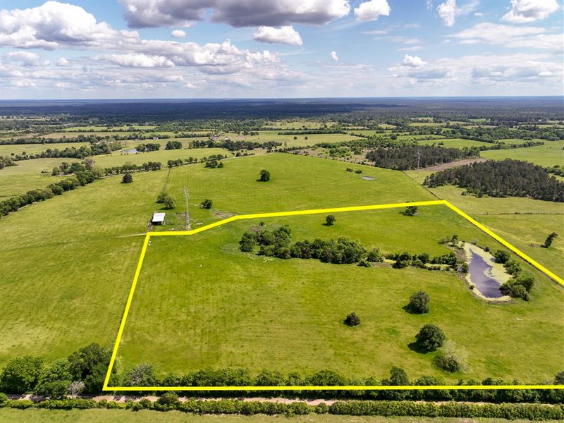 14 Acres, T-7A County Road 3625 : Lovelady : Houston County : Texas