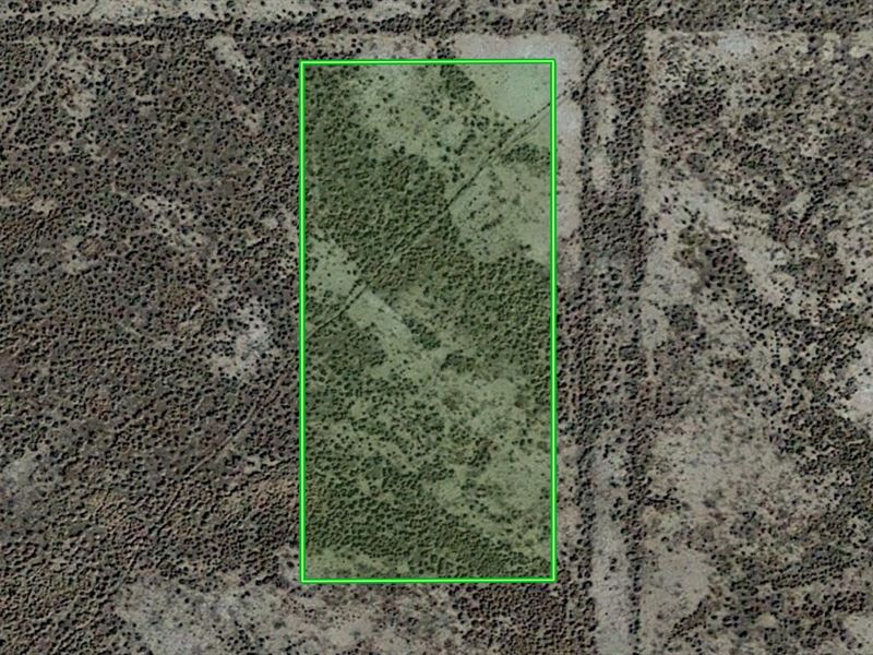 Your Peaceful Homestead Awaits : Cochise : Cochise County : Arizona