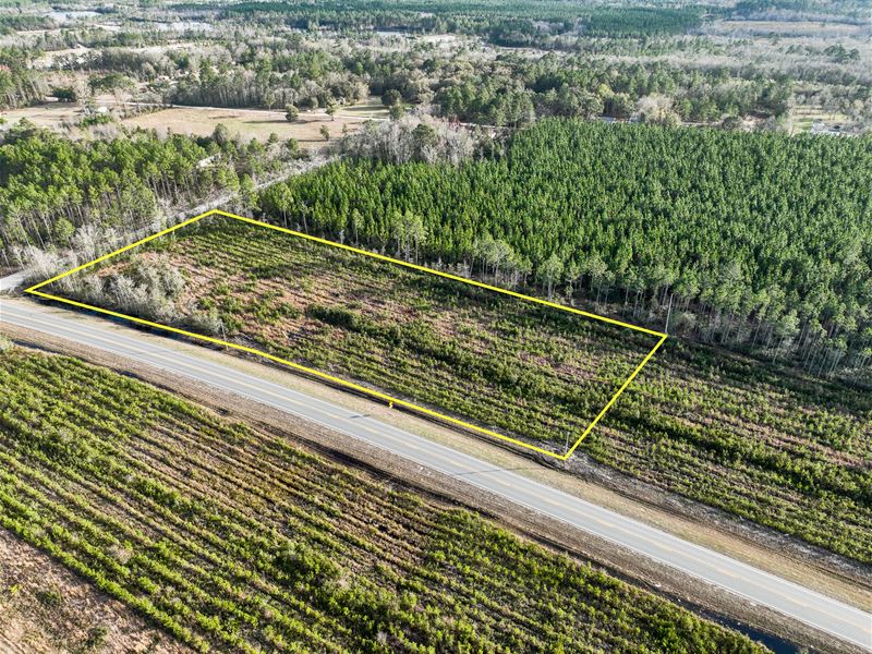 Tract 1, 3.84 Acres, Hwy 32 : Hortense : Brantley County : Georgia