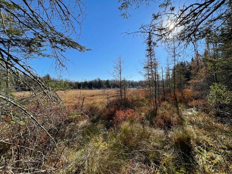 Rolling Terrain Parcel : Presque Isle : Vilas County : Wisconsin