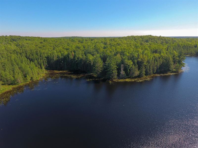 Little Kitten Lake Lot : Presque Isle : Vilas County : Wisconsin