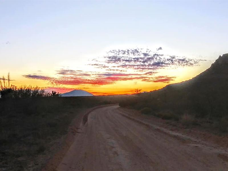 Buy 20 Acres, Get 20 Ac Half Price : Sierra Blance : Hudspeth County : Texas