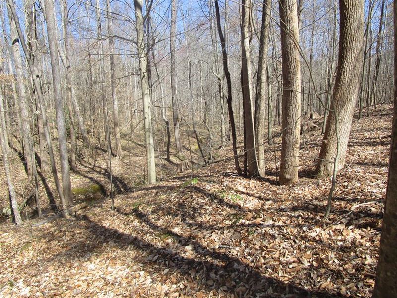 New Grove Retreat in Southern VA : Kenbridge : Lunenburg County : Virginia
