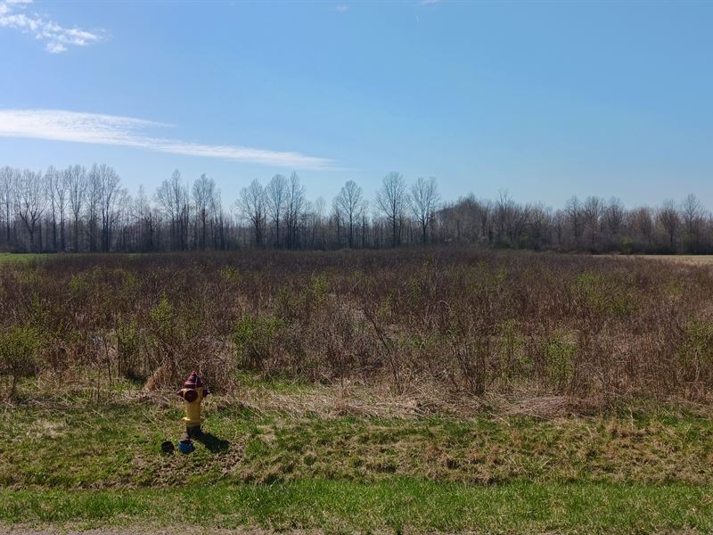 Cleared 5 Acres Near Lake Erie : Ashtabula : Ashtabula County : Ohio