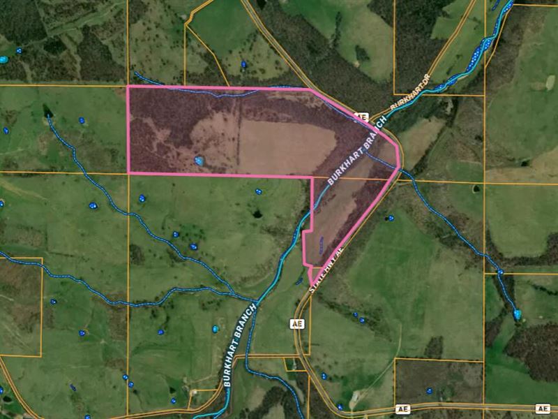 Highway Frontage, Live Water : Plato : Texas County : Missouri