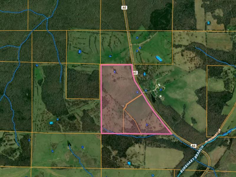 Nice Farm with Quality Home : Plato : Texas County : Missouri
