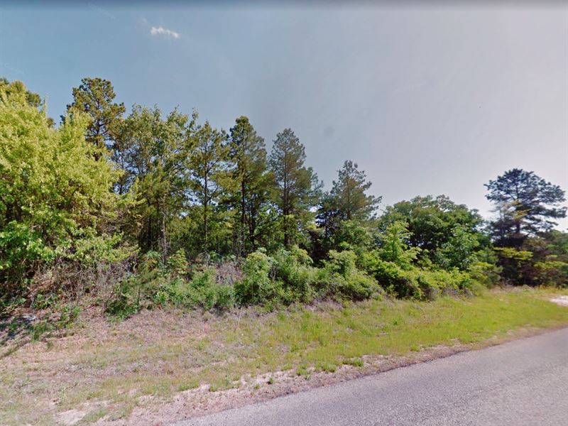 .07 Acre in Winnsboro, $200/Month : Winnsboro : Franklin County : Texas