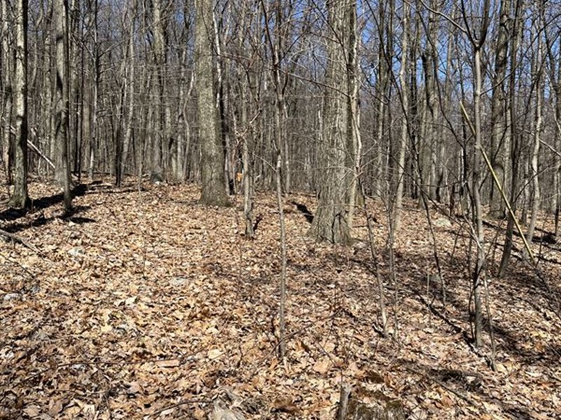 Adjoins State Lands : Hamburg : Berks County : Pennsylvania