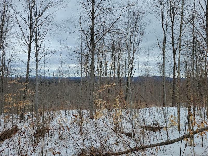 Cornville Ames Rd 155 Acres : Cornville : Somerset County : Maine
