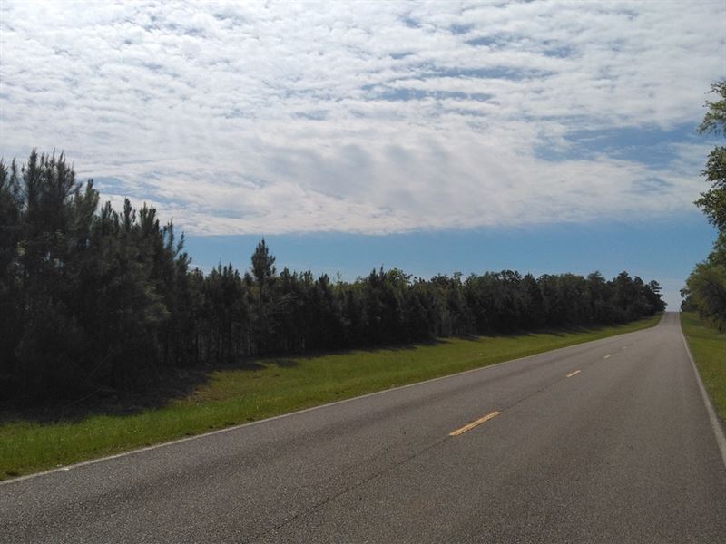 Old US Road/Willis Road : Marianna : Jackson County : Florida