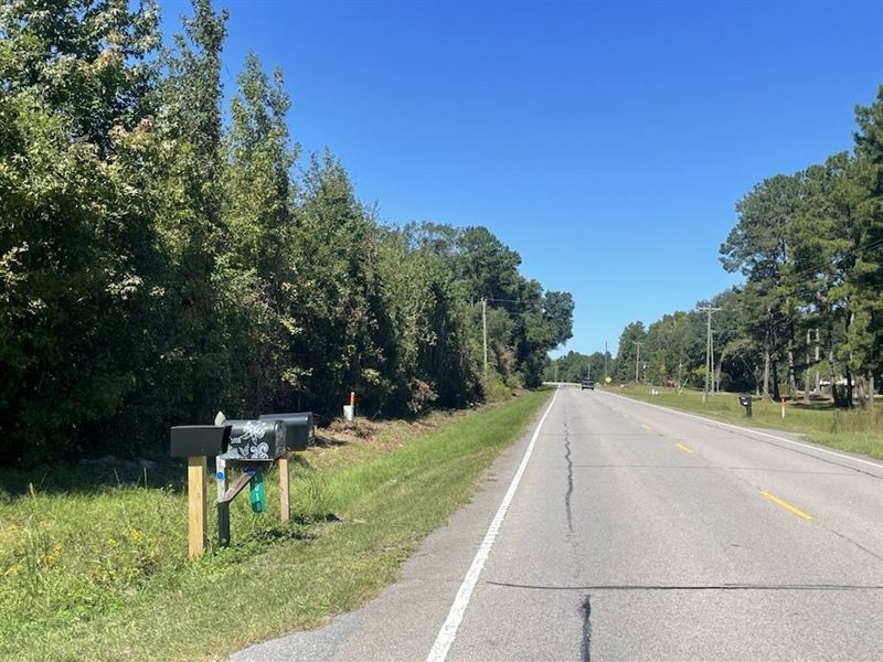 Cash Tract : Bamberg : Bamberg County : South Carolina