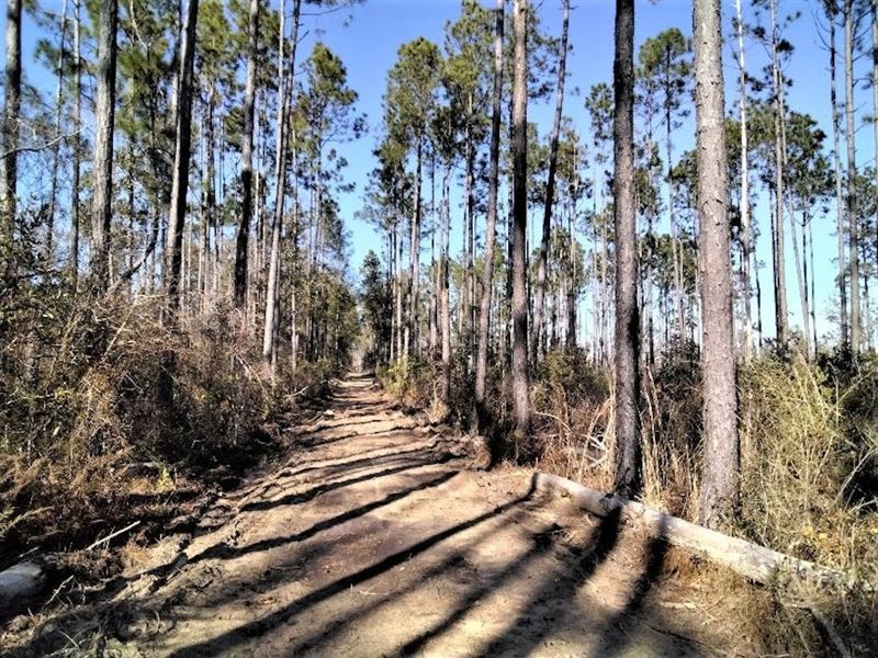 Tenmile Creek : Blountstown : Calhoun County : Florida