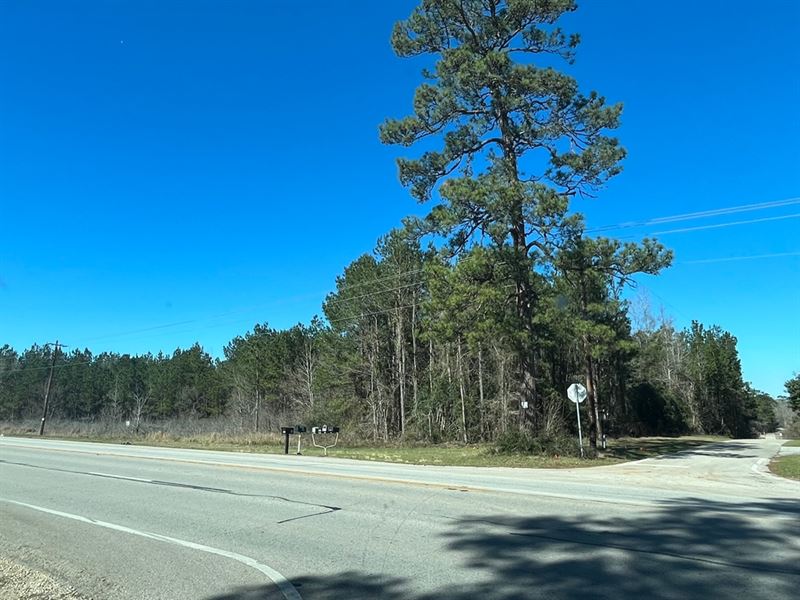 Highway 105 9 Acres : Cleveland : Montgomery County : Texas