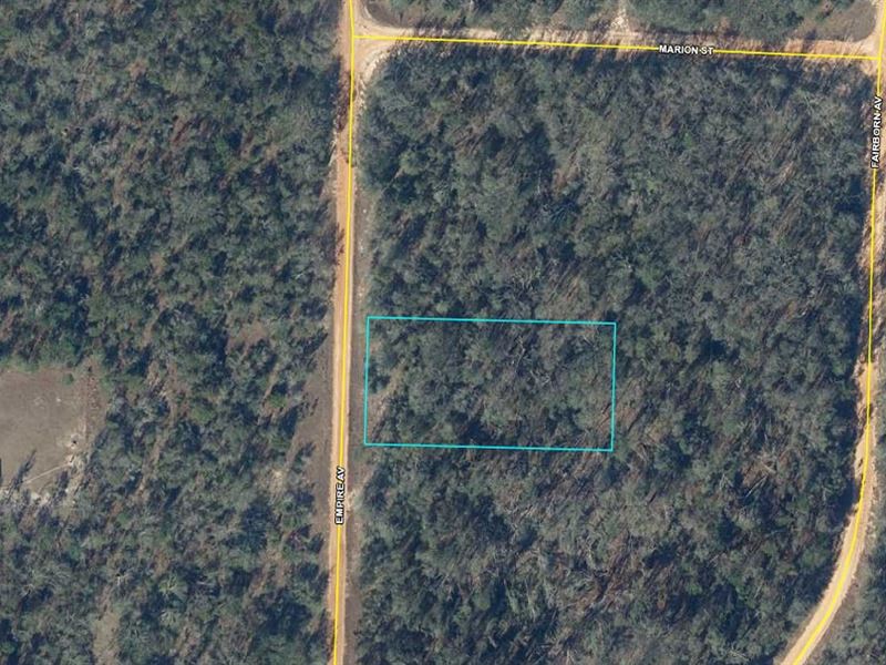 Quiet Compass Hills Lot Near Lakes : Alford : Jackson County : Florida