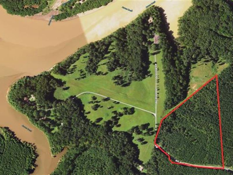 Timberland Investment : Buffalo Junction : Mecklenburg County : Virginia