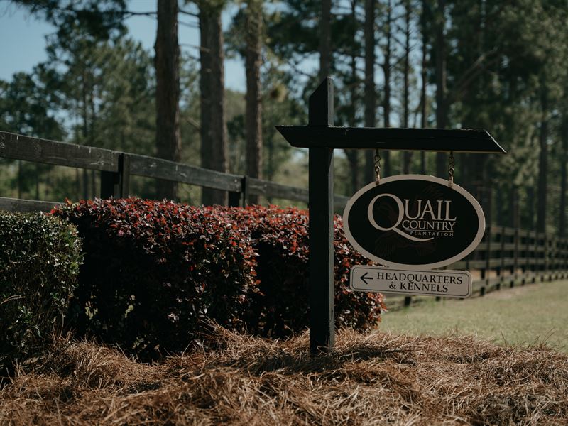 Quail Country Plantation : Arlington : Early County : Georgia