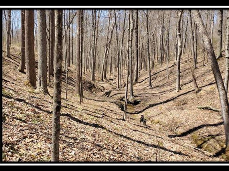 Tract 7, The Views at Siverly Ridge : McArthur : Vinton County : Ohio