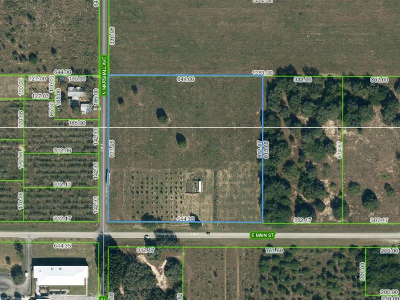 Here's Your Chance to Own 9 Acres : Avon Park : Highlands County : Florida