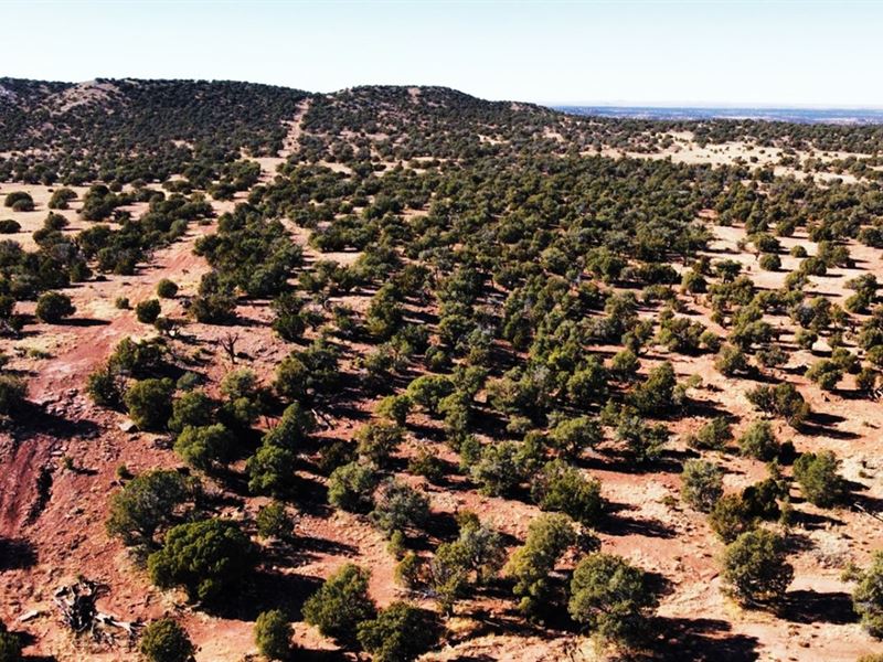 Quench Your Thirst for Adventure : Sun Valley : Navajo County : Arizona