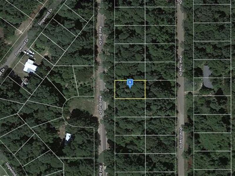 No Zoning, Water, Electric : Harleton : Harrison County : Texas