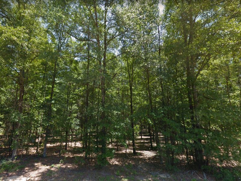 Private 2.11 Acres : Wagener : Aiken County : South Carolina