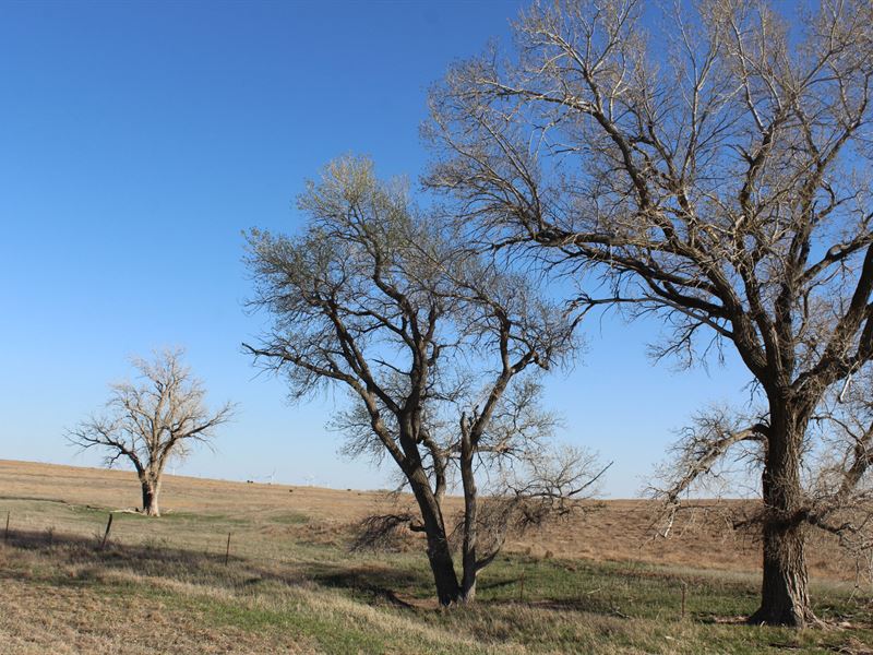 Pratt County 127 : Pratt : Pratt County : Kansas