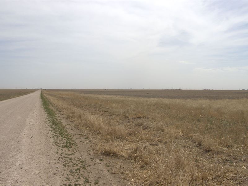 Wiggains Farms 80 : Hooker : Texas County : Oklahoma