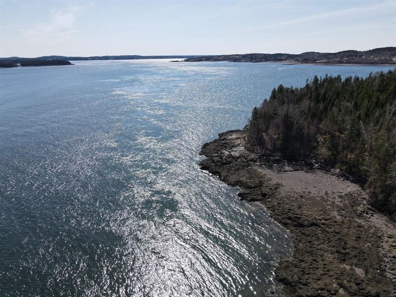 51 Acres with 3000' of Ocean Fronta : Eastport : Washington County : Maine
