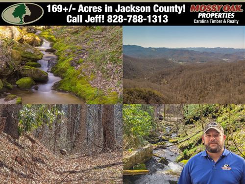 169 Acres, Waterfall Tract Bord : Sylva : Jackson County : North Carolina