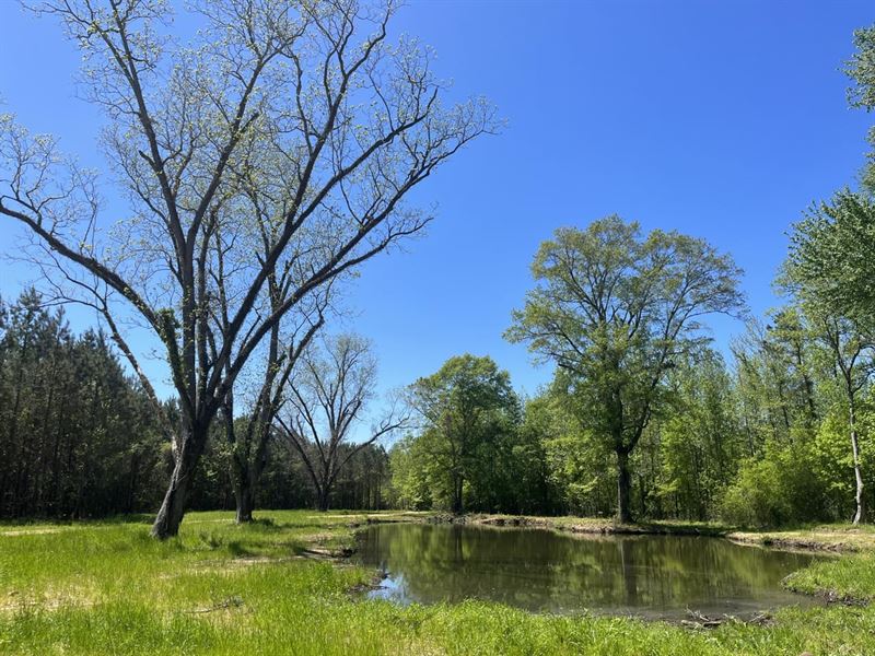 Lowndes Stateline 219 Acre Hunting : Columbus : Lowndes County : Mississippi