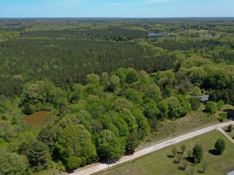 56 Acres Union County : Blue Mountain : Union County : Mississippi