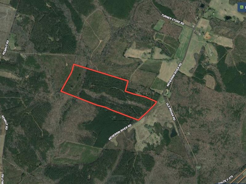 88 Acres and Cree : Brodnax : Brunswick County : Virginia