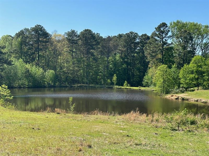 40 Acres of Fenced Pastureland : Vaiden : Carroll County : Mississippi