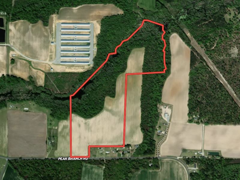 54.59 Acres of Recreational and Res : Snow Hill : Greene County : North Carolina