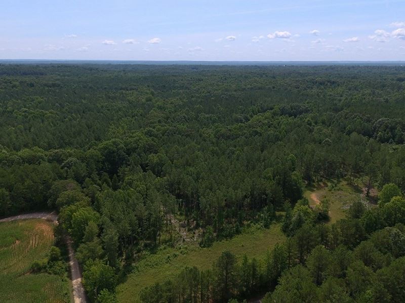 TN Acreage for Sale Hunting, Creeks : Morris Chapel : Hardin County : Tennessee